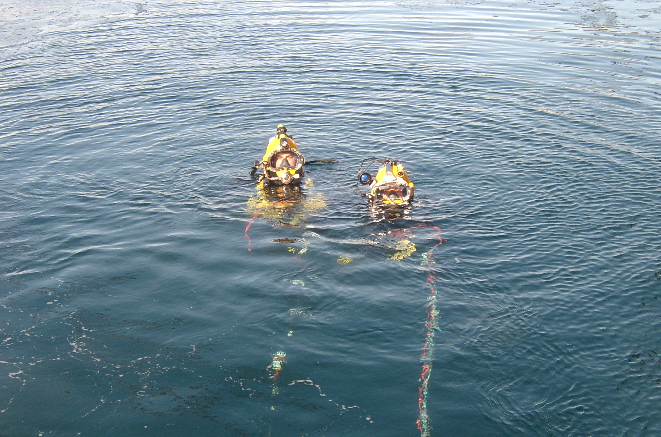 Henry Goodrich,Diving 2005 043.jpg